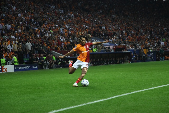 以能够迅速 以能够迅速