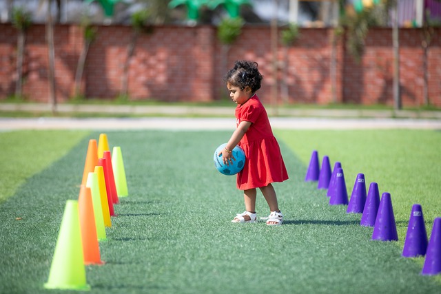 的重要原因 的重要原因