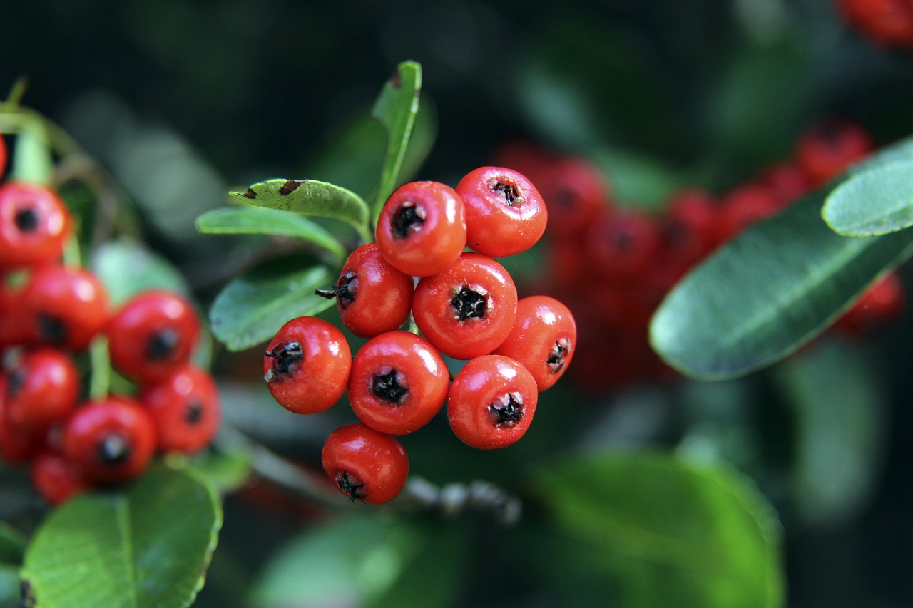 下的综合表 下的综合表