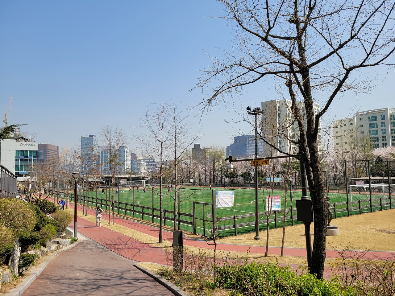 主教練湯姆 主教練湯姆