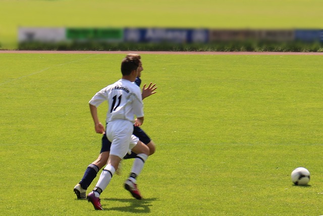 料的胜利震 料的胜利震